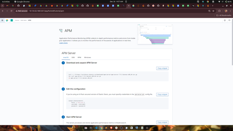 APM server